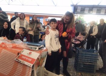 Seferihisar’ın Turuncu Şenliği Mandalina Festivali