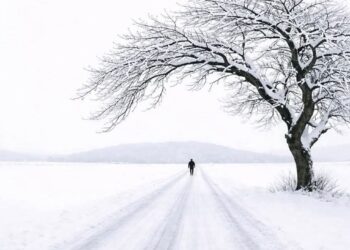 Şiir Bilmece Ya da Bulmaca Karesi Değildir