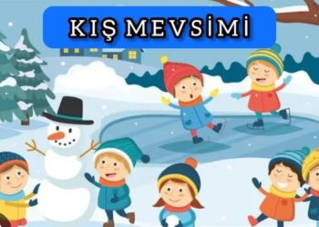 Kış Mevsimi