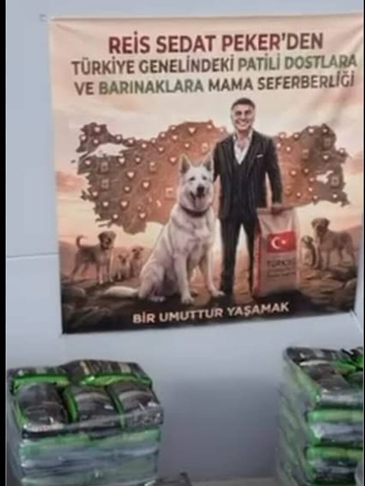 Sessizlerin Umudu: Reis Sedat Peker