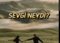 Sevgi Nasıl Oluşur