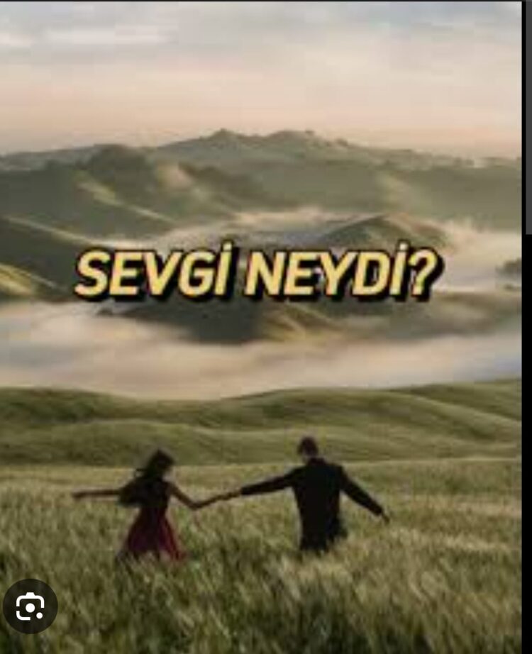 Sevgi Nasıl Oluşur