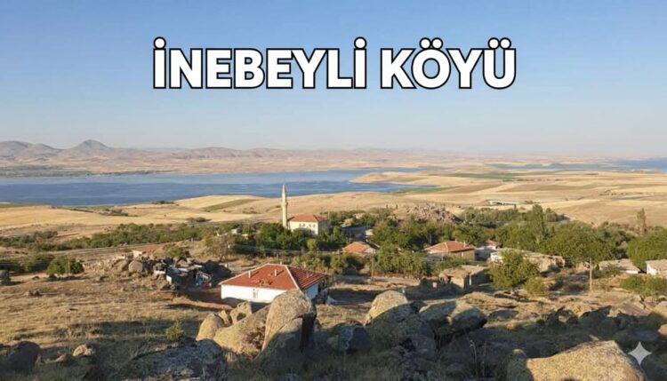 Dünyaya Bağlandığım, İlk Nefesimi Aldığım Yer: İnebeyli Köyü