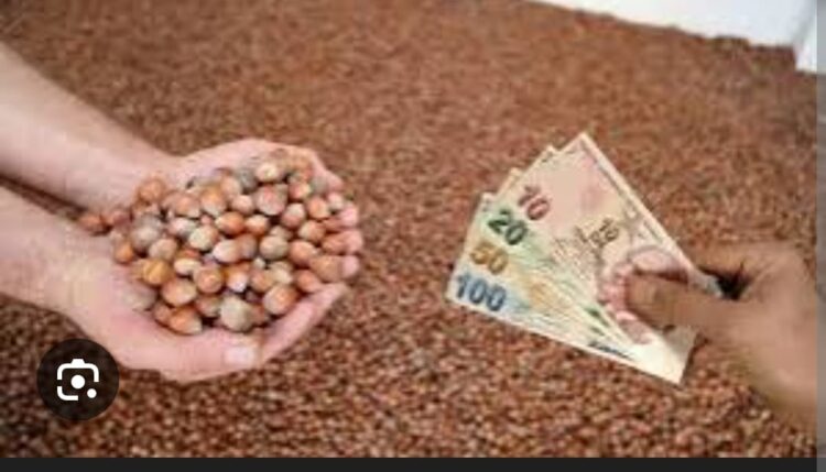 Türk Fındığı Bu İhaneti Hak Etmiyor