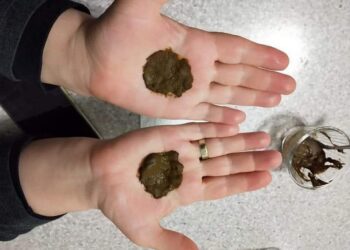 Gurbette Bayram (II)