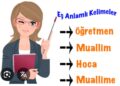 Muallim Nedir?