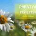 Papatya Fısıltısı