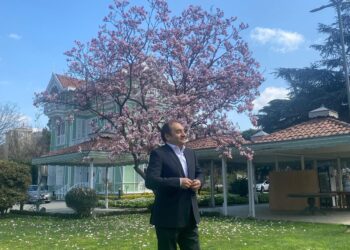 Türkçenin Geleceği