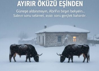 April’in Beşi: Şereflikoçhisar’da Anadolu Ayazı