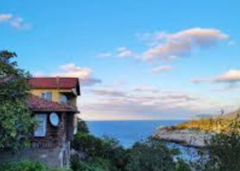 Mavi (Renkten Ötesi)