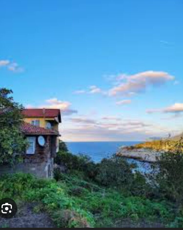 Mavi (Renkten Ötesi)