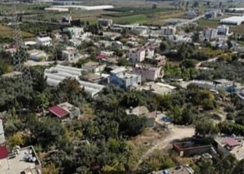 Avşar Köyü: Toprağın Bereketi, İnsanının Gücü, Bir Kimlikten Fazlası