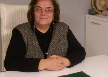 Ana Kucağı