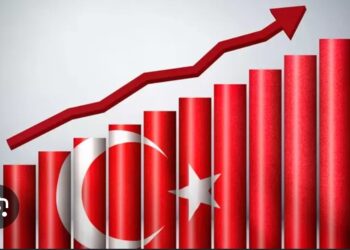 Gelişmekte Olan Ülke; Türkiye