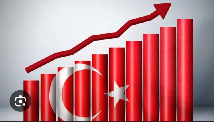 Gelişmekte Olan Ülke; Türkiye