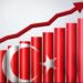 Gelişmekte Olan Ülke; Türkiye