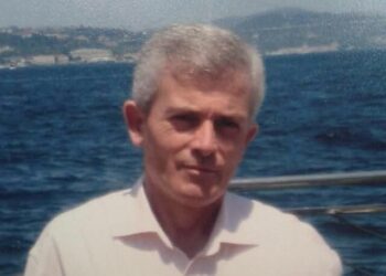 Pamuk Tarlası