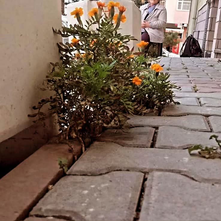 Hüzün Artığı