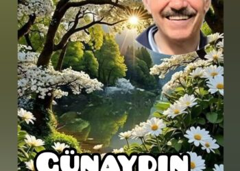Darısı Başınıza