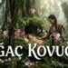 Ağaç Kovuğu