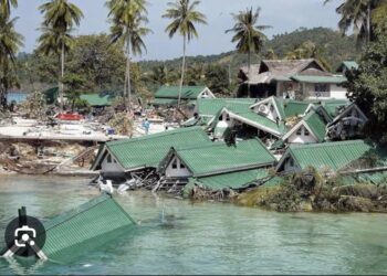 Bahçede Tsunami