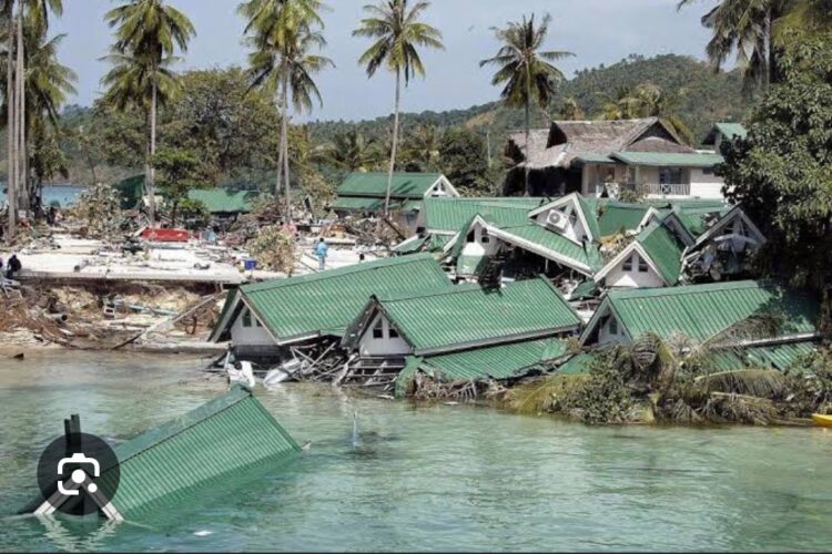 Bahçede Tsunami