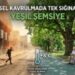 Küresel Kavrulma Çağında Tek Sığınağımız.