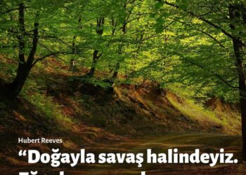 Doğa Hepimizin Emaneti: Moloz Dökenlere Göz Yummayalım!
