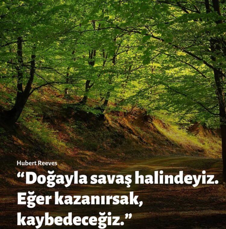 Doğa Hepimizin Emaneti: Moloz Dökenlere Göz Yummayalım!