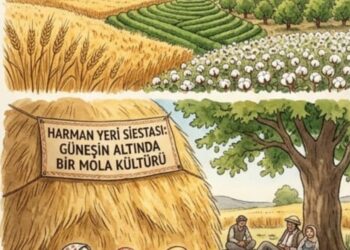 Harman Yeri Siestası: Güneşin Altında Bir “Mola” Kültürü
