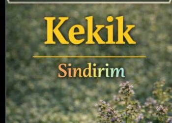 Kekik Deyip Geçmeyin Sakın