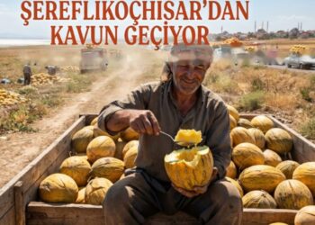 Şereflikoçhisar’dan Kavun Geçiyor