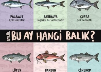 Denizin Bereketli Zamanı: Eylül Ayı Balıkları