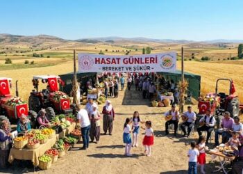 Hasat Günleri