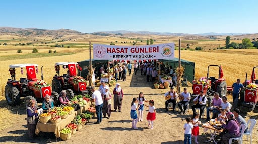 Hasat Günleri
