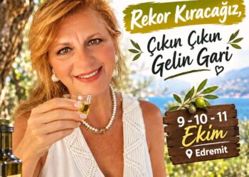 Ege’de Zeytin Hasadı Başlıyor