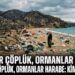 Sahiller Çöplük, Ormanlar Harabe: Kimin Utancı?